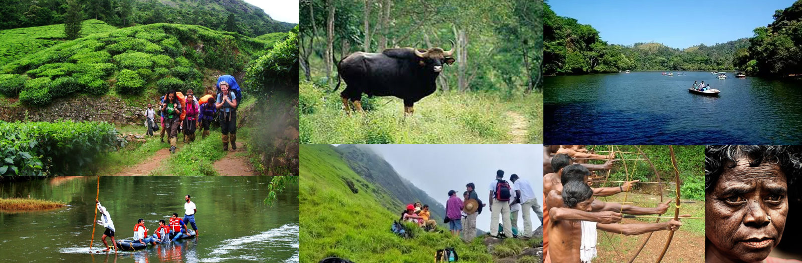 Wayanad Tour, Homestay Wayanad